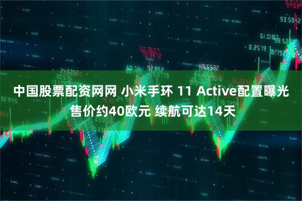中国股票配资网网 小米手环 11 Active配置曝光 售价约40欧元 续航可达14天